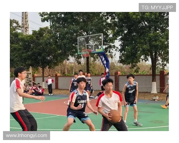 探寻篮球运动员成长之路与赛场拼搏精神及团队协作魅力深度解析